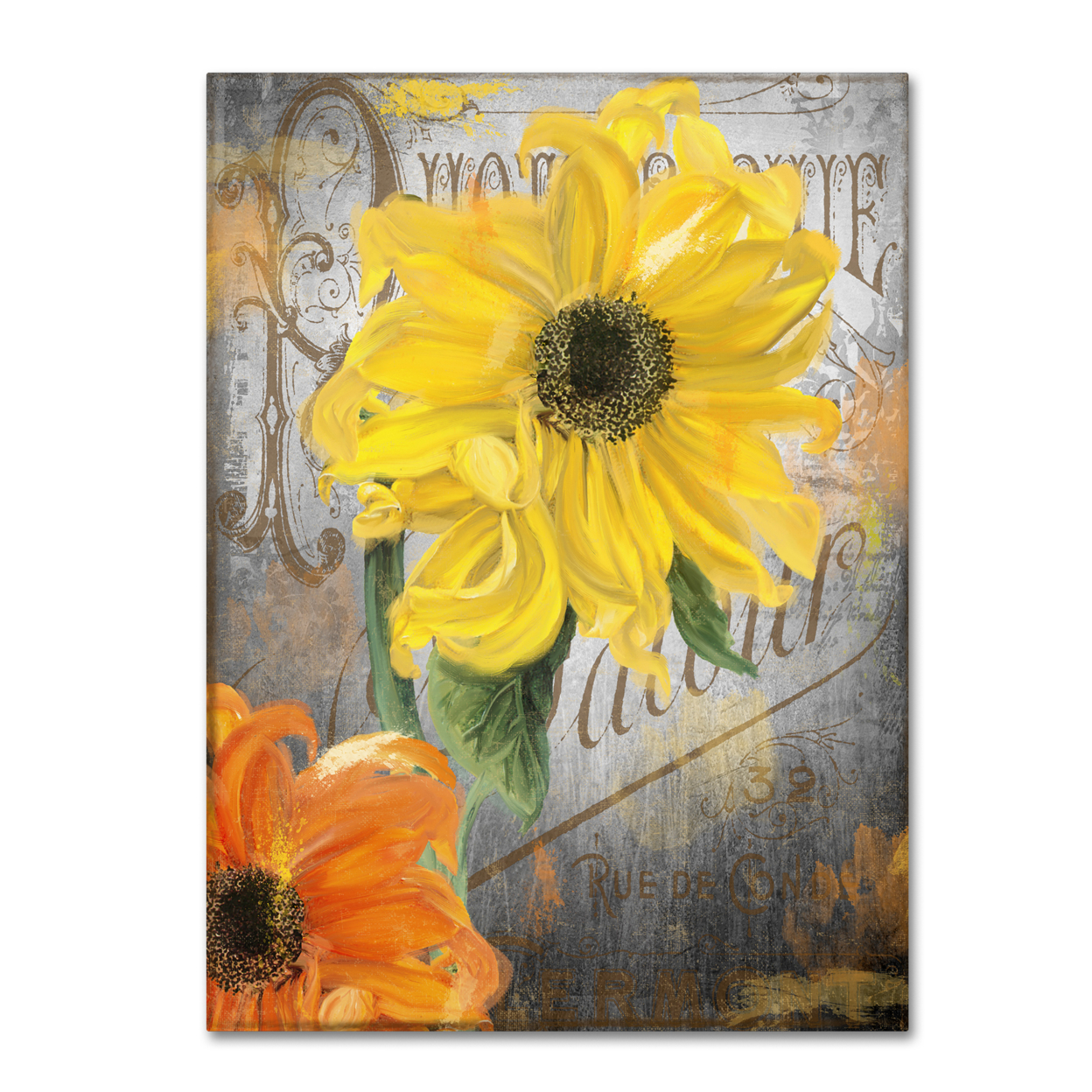 Color Bakery 'Sunflower Studio' Canvas Wall Art 35 X 47 Inches