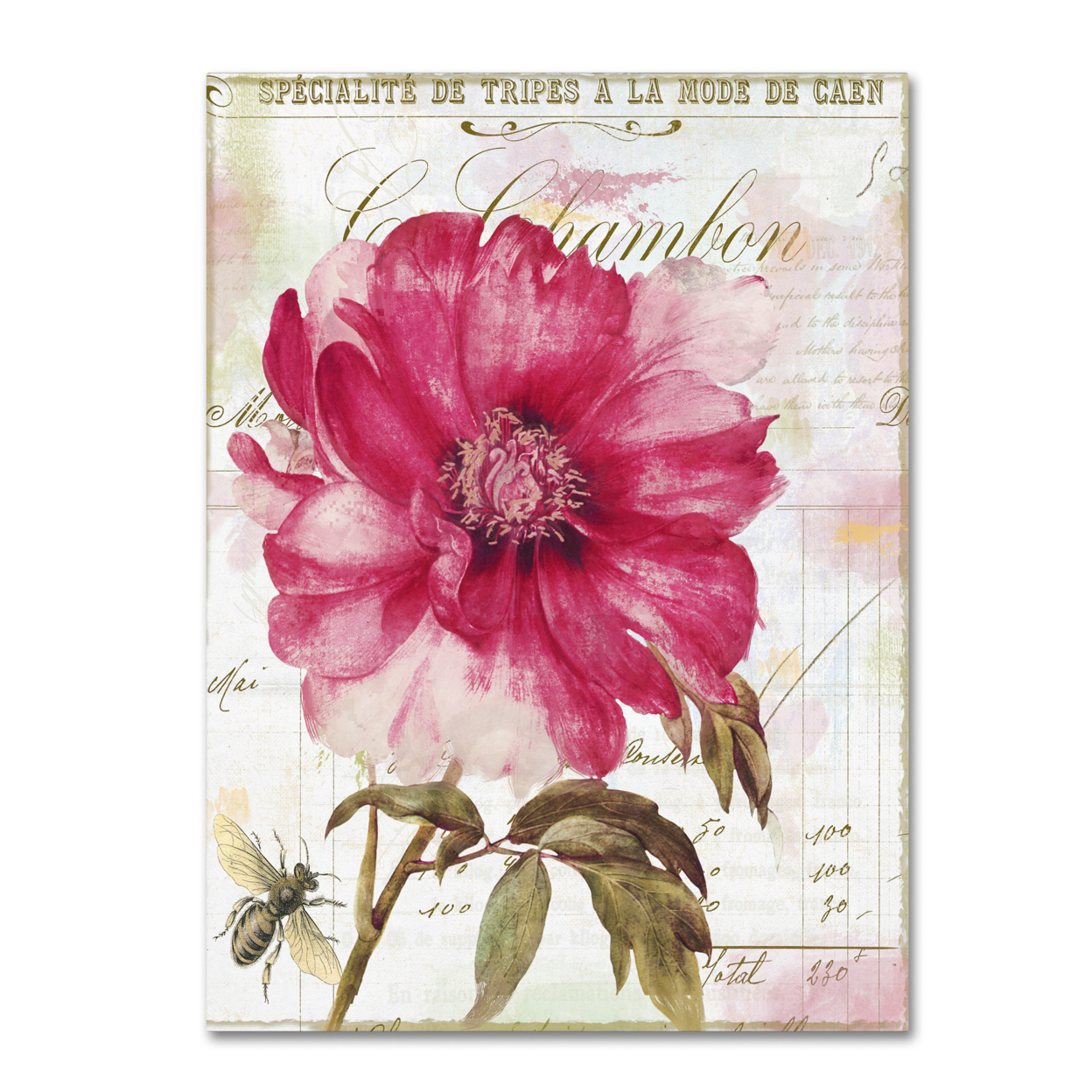Color Bakery 'Pink Peony' Canvas Wall Art 35 X 47 Inches