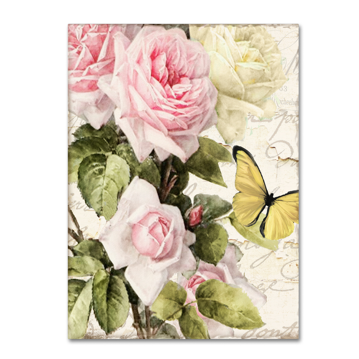 Color Bakery 'Flora Bella' Canvas Wall Art 35 X 47 Inches