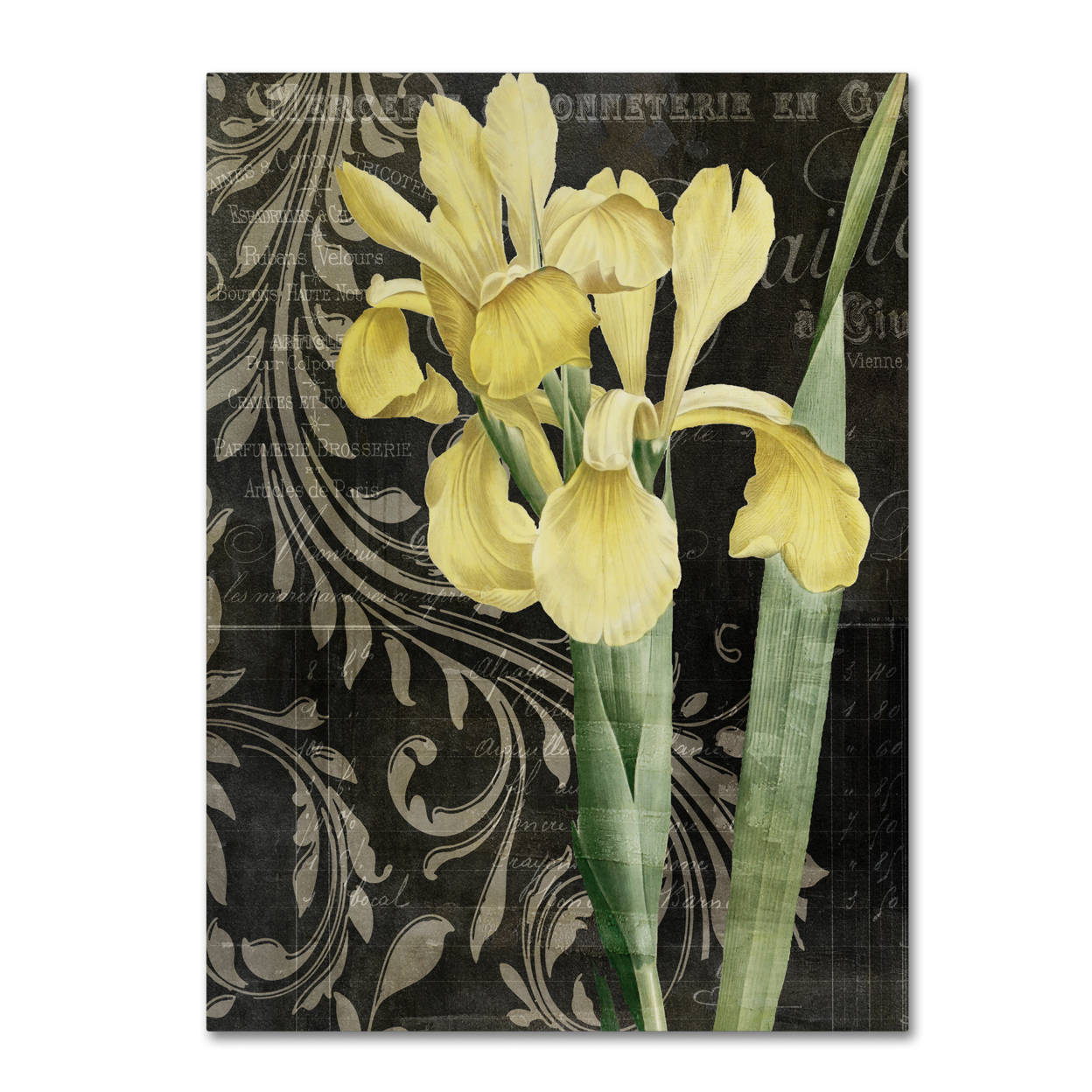 Color Bakery 'Ode To Yellow' Canvas Wall Art 35 X 47 Inches