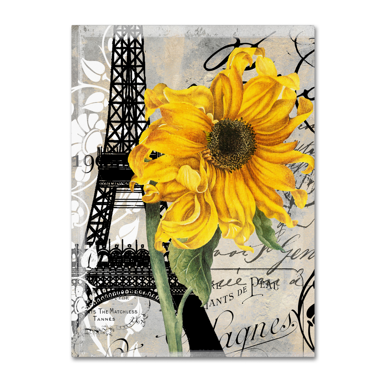 Color Bakery 'Paris Blanc' Canvas Wall Art 35 X 47 Inches