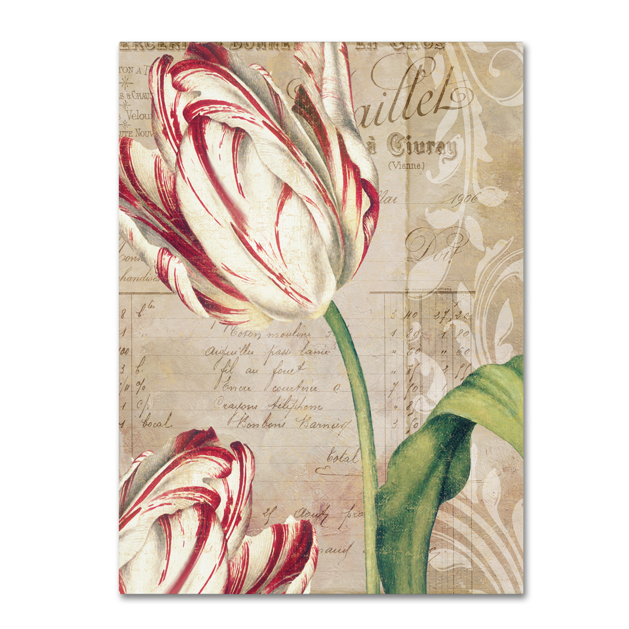 Color Bakery 'Tulips' Canvas Wall Art 35 X 47 Inches