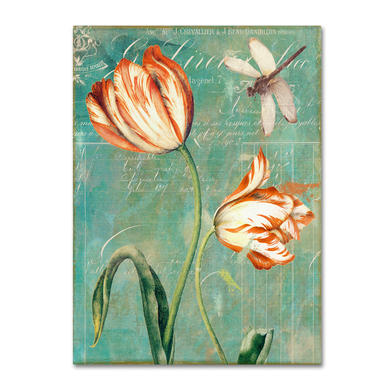 Color Bakery 'Tulips Ablaze I' Canvas Wall Art 35 X 47 Inches