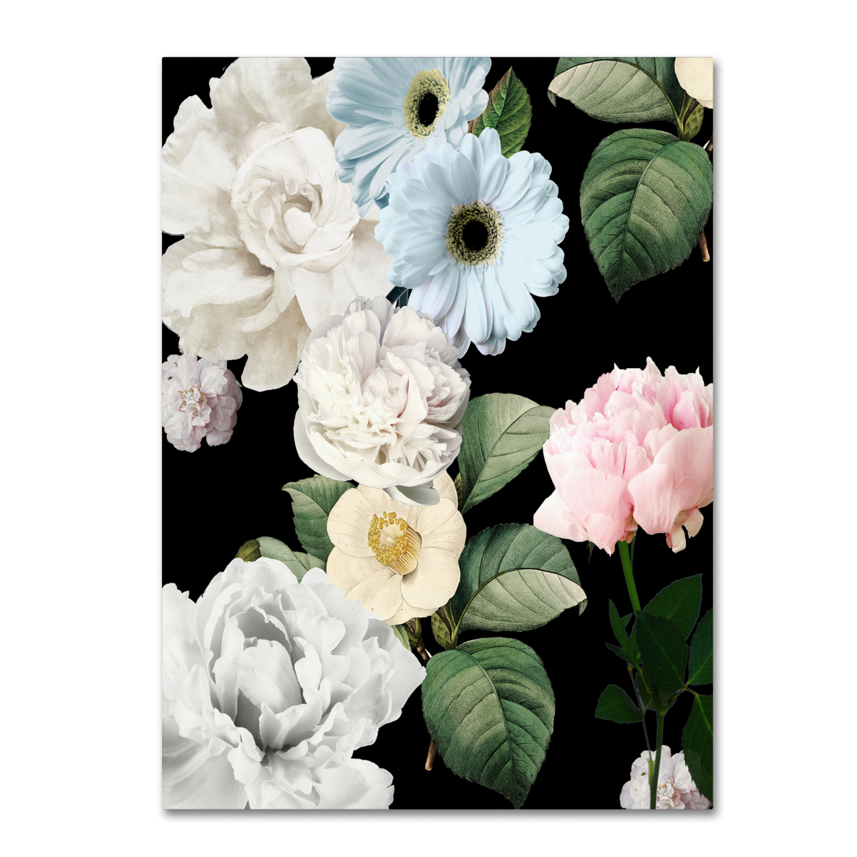 Color Bakery 'Wallflowers' Canvas Wall Art 35 X 47 Inches