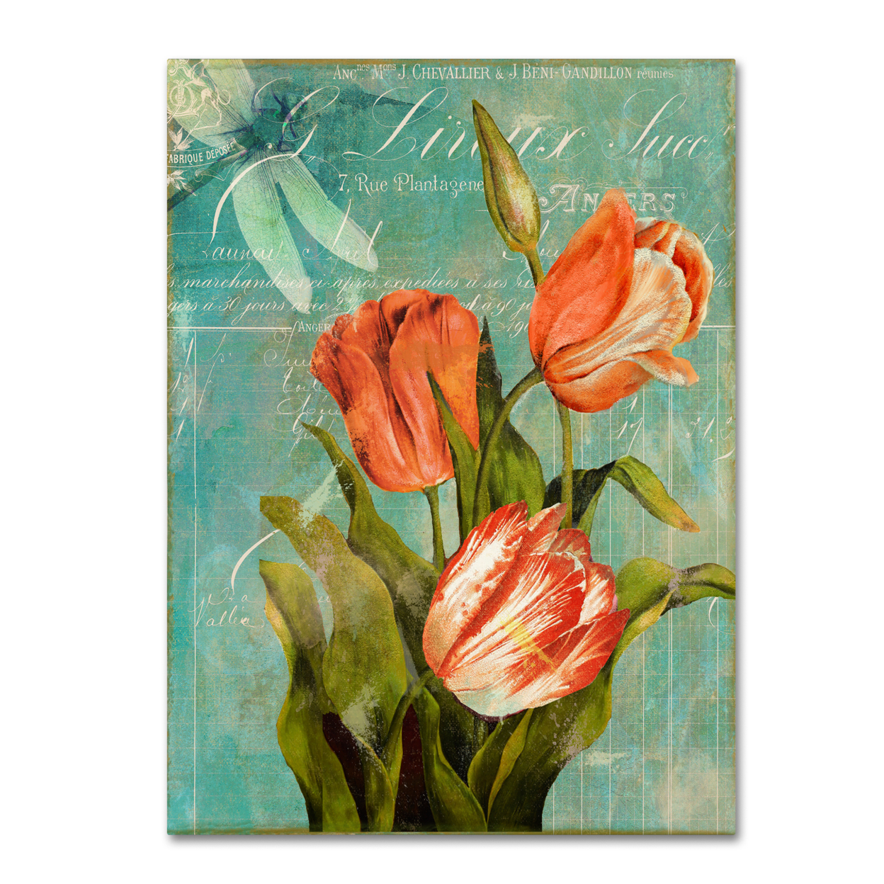 Color Bakery 'Tulips Ablaze III' Canvas Wall Art 35 X 47 Inches