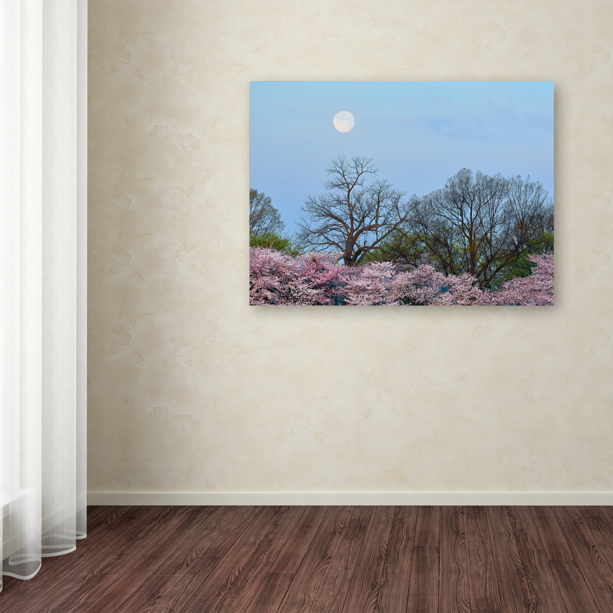 CATeyes 'Spring Moon 2' Canvas Wall Art 35 X 47 Inches