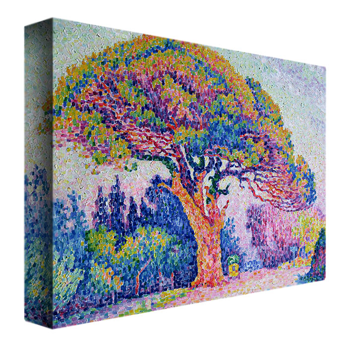 Paul Signac 'The Pine Tree At St.Tropez 1909' Canvas Wall Art 35 X 47 Inches
