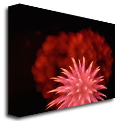 Kurt Shaffer 'Abstract Fireworks' Canvas Wall Art 35 X 47