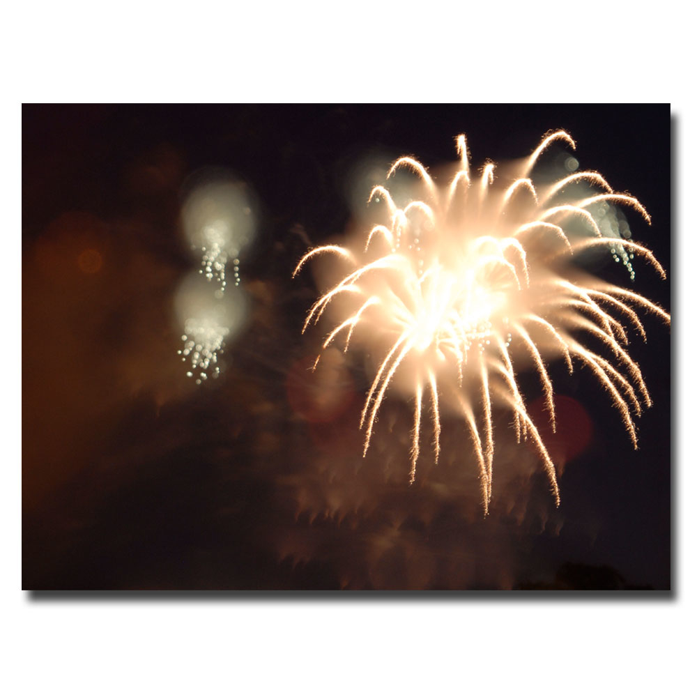 Kurt Shaffer 'Abstract Fireworks IV' Canvas Wall Art 35 X 47