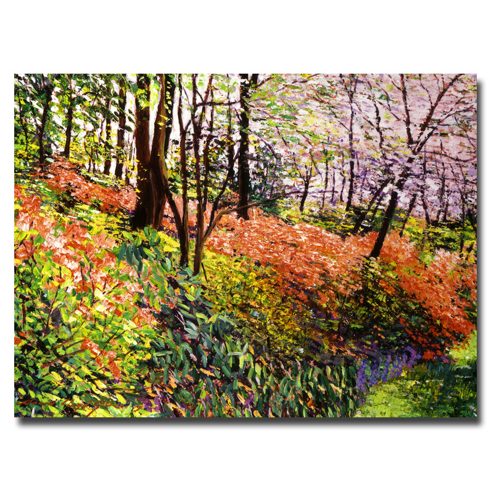 David Lloyd Glover 'Magic Flower Forest' Canvas Wall Art 35 X 47