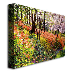 David Lloyd Glover 'Magic Flower Forest' Canvas Wall Art 35 X 47