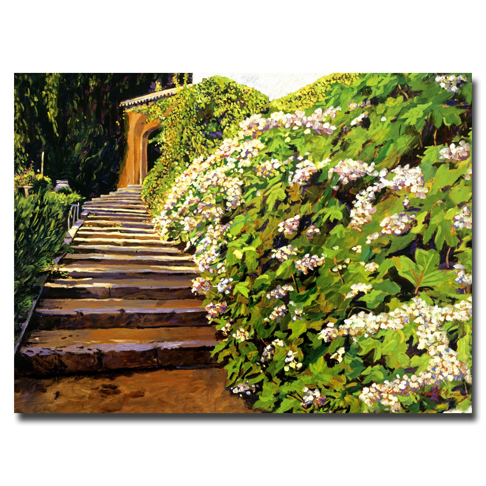David Lloyd Glover 'Garden Stairway Tuscany' Canvas Wall Art 35 X 47