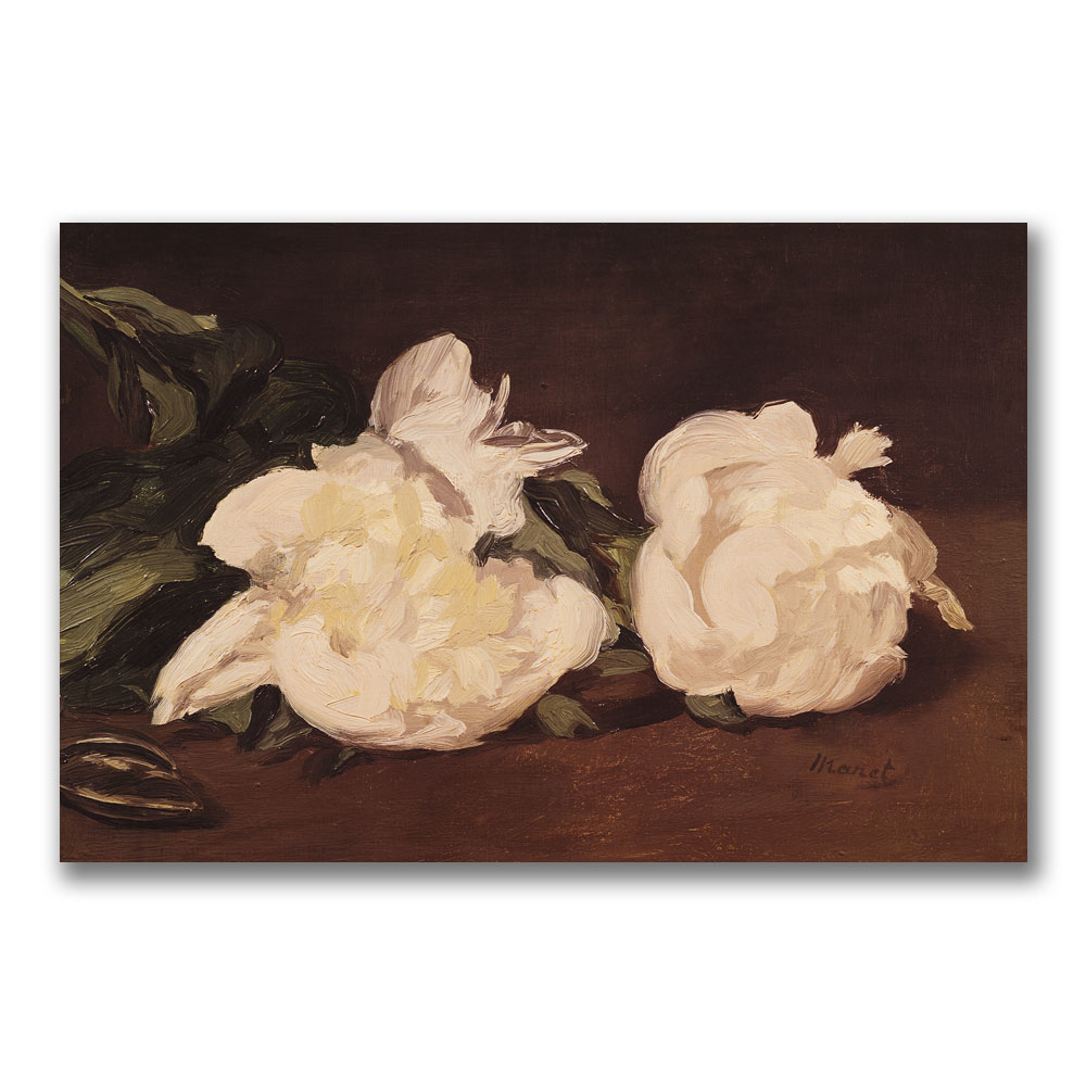 Eduard Manet 'Branch Of White Peonies' Canvas Wall Art 35 X 47