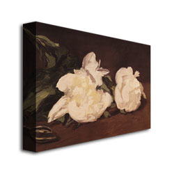 Eduard Manet 'Branch Of White Peonies' Canvas Wall Art 35 X 47