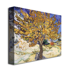 Vincent Van Gogh 'Mulberry Tree 1889' Canvas Wall Art 35 X 47
