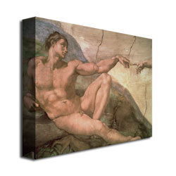 Michelangelo 'The Creation Of Adam' Canvas Wall Art 35 X 47