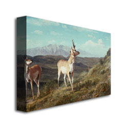 Albert Biersdant 'Antelope' Canvas Wall Art 35 X 47