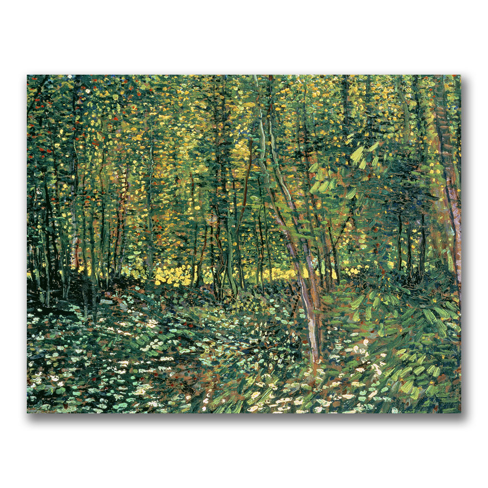 Vincent Van Gogh 'Trees And Undergrowth, 1887' Canvas Wall Art 35 X 47