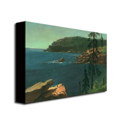 Albert Biersdant 'California Coast II' Canvas Wall Art 35 X 47
