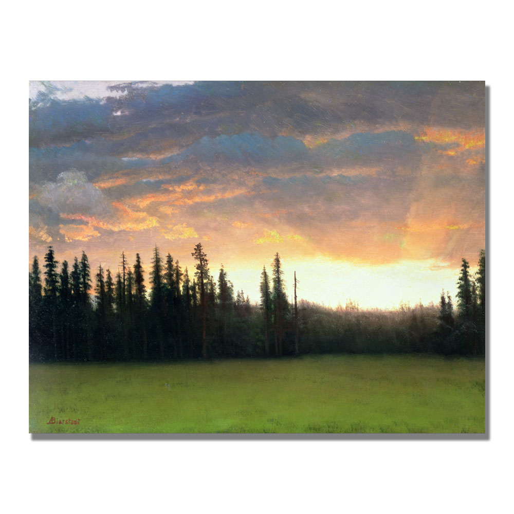 Albert Biersdant 'California Sunset II' Canvas Wall Art 35 X 47