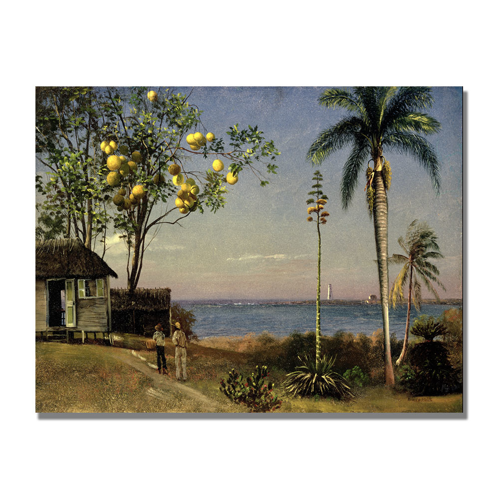 Albert Biersdant 'Tropical Scene' Canvas Wall Art 35 X 47