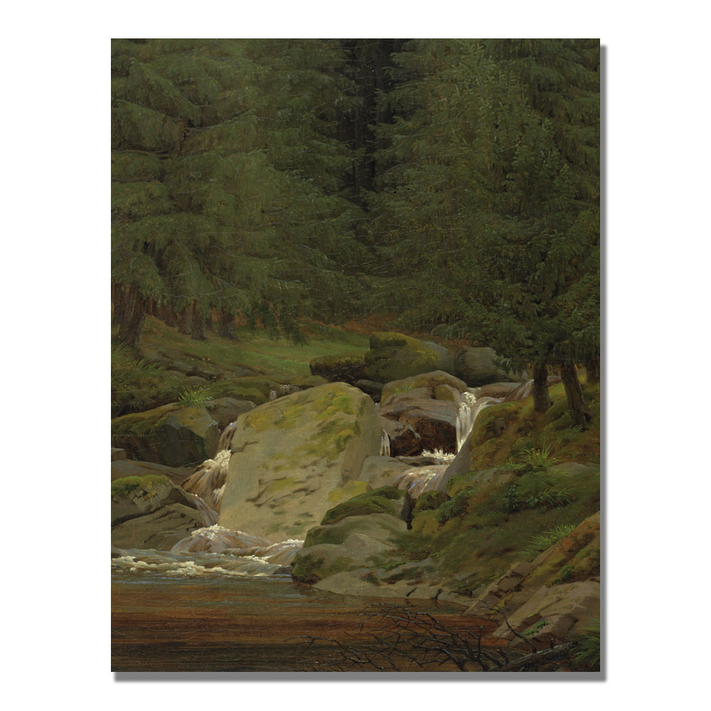Caspar Friedrich 'Evergreens By The Waterfall' Canvas Wall Art 35 X 47