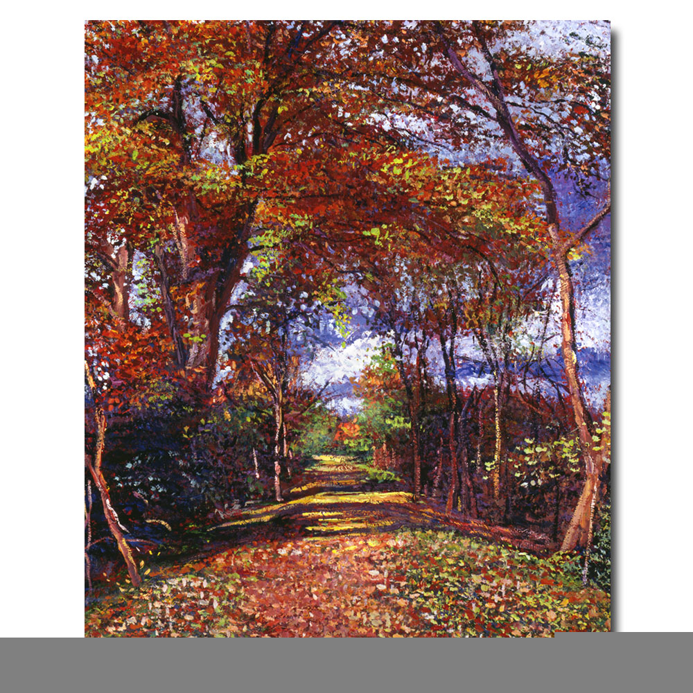 David Lloyd Glover 'Autumn Colored Road' Canvas Wall Art 35 X 47