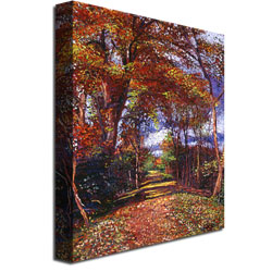 David Lloyd Glover 'Autumn Colored Road' Canvas Wall Art 35 X 47