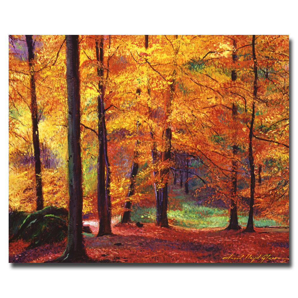 David Lloyd Glover 'Autumn Serenity' Canvas Wall Art 35 X 47
