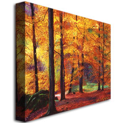 David Lloyd Glover 'Autumn Serenity' Canvas Wall Art 35 X 47