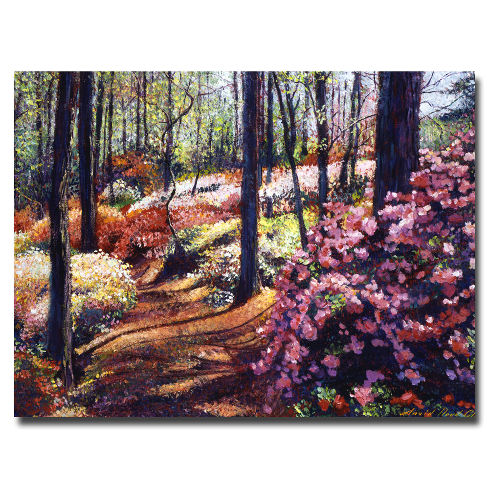 David Lloyd Glover 'Azalea Forest' Canvas Wall Art 35 X 47