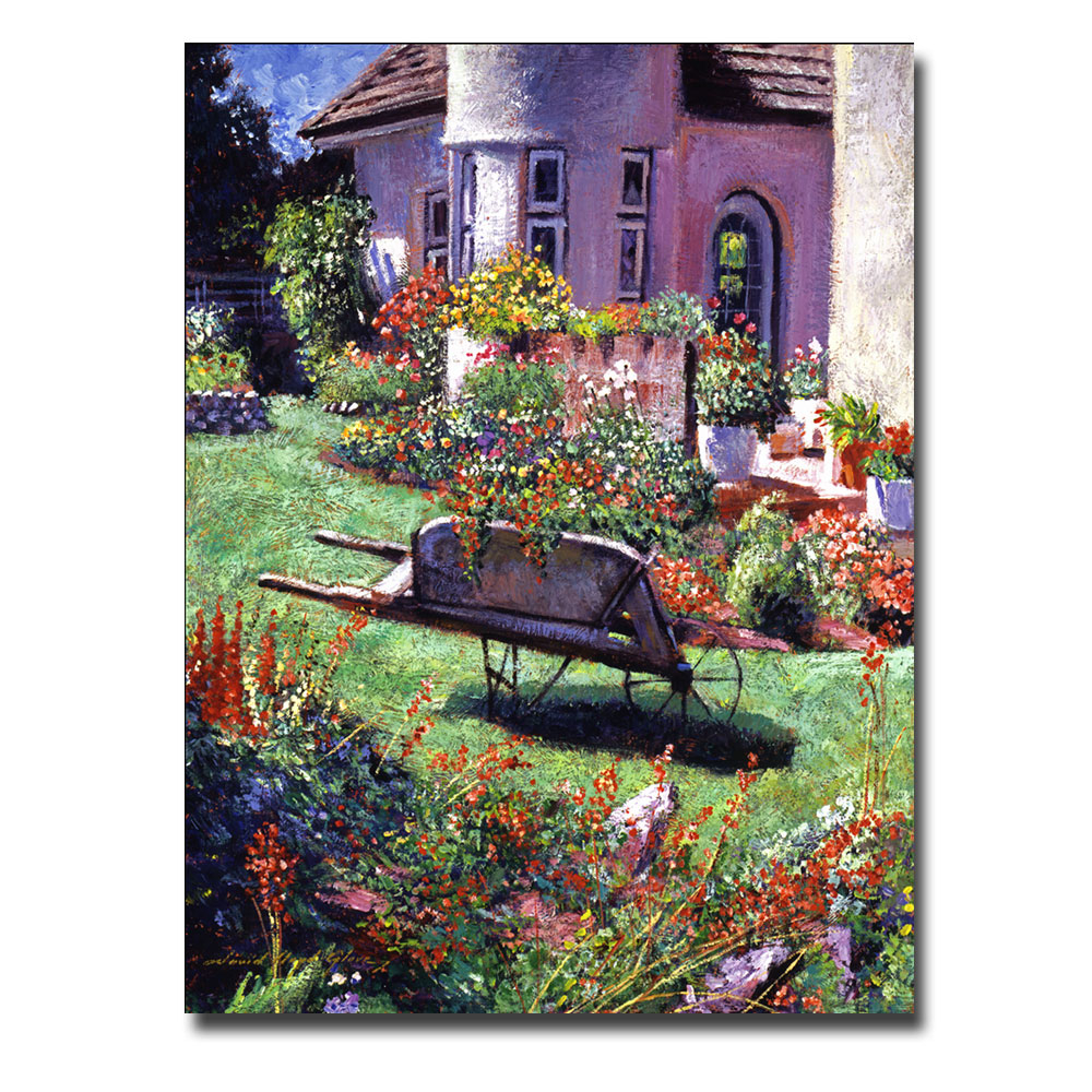 David Lloyd Glover 'Color Garden Impression' Canvas Wall Art 35 X 47
