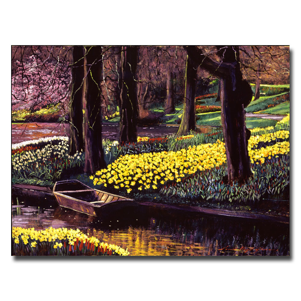 David Lloyd Glover 'Daffodil Park' Canvas Wall Art 35 X 47