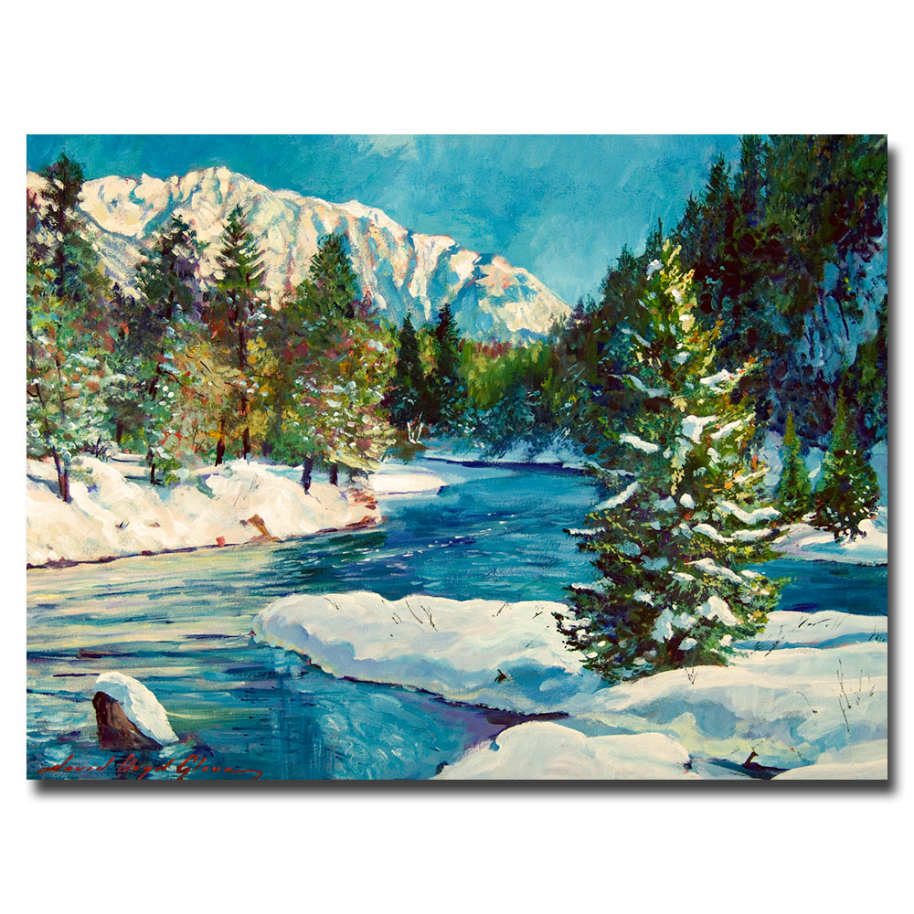 David Lloyd Glover 'Colorado Pines' Canvas Wall Art 35 X 47