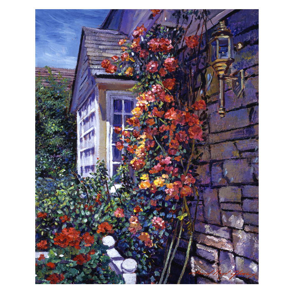 David Lloyd Glover 'Magnificent Climbing Roses' Canvas Wall Art 35 X 47