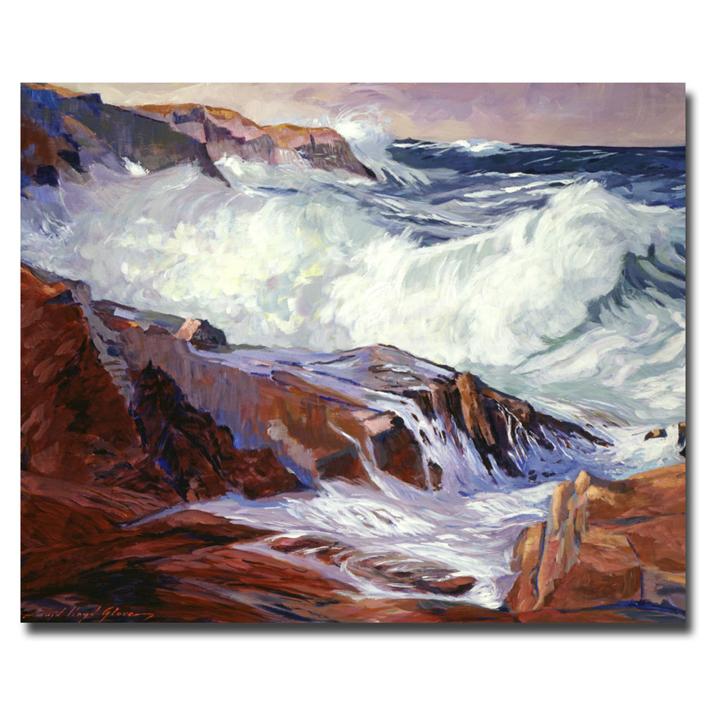 David Lloyd Glover 'Monteray Coast' Canvas Wall Art 35 X 47