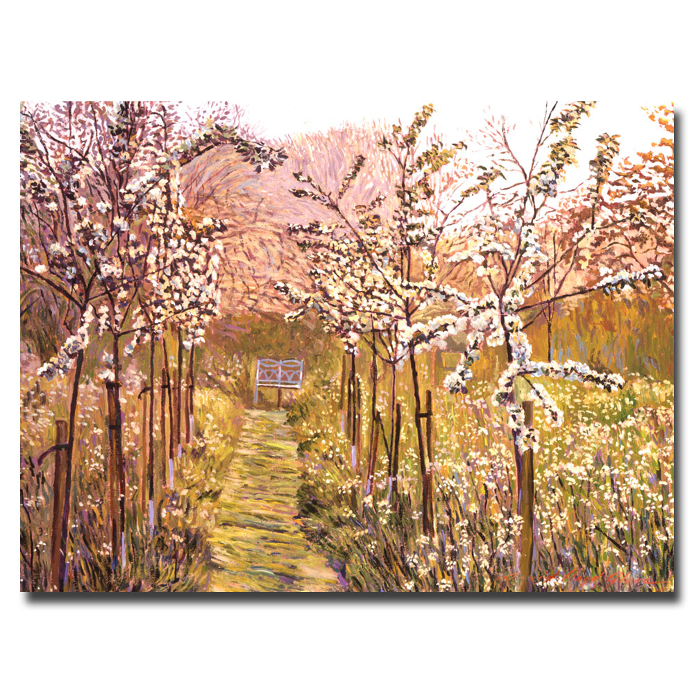 David Lloyd Glover 'Orchard Morning' Canvas Wall Art 35 X 47