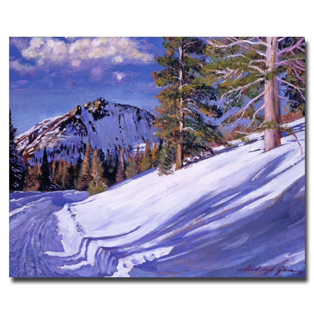 David Lloyd Glover 'Snow Mountain Road' Canvas Wall Art 35 X 47