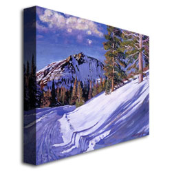 David Lloyd Glover 'Snow Mountain Road' Canvas Wall Art 35 X 47