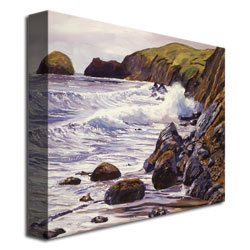 David Lloyd Glover 'Summer Sea' Canvas Wall Art 35 X 47