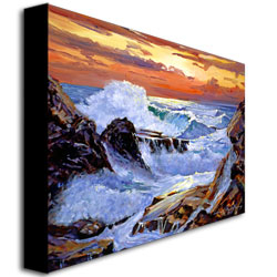 David Lloyd Glover 'Storm On The Irish Coast' Canvas Wall Art 35 X 47