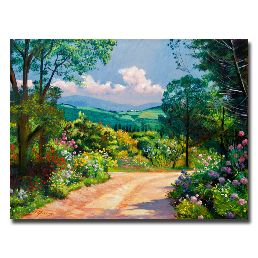 David Lloyd Glover 'The Tuscany Hills' Canvas Wall Art 35 X 47