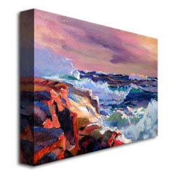 David Lloyd Glover 'Surf Crashes' Canvas Wall Art 35 X 47