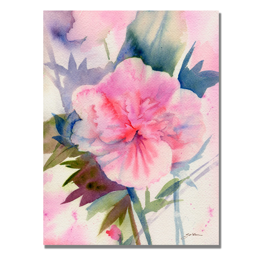Shelia Golden 'Pink Hibiscus Bloom' Canvas Wall Art 35 X 47