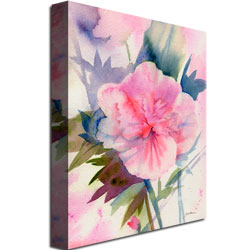 Shelia Golden 'Pink Hibiscus Bloom' Canvas Wall Art 35 X 47