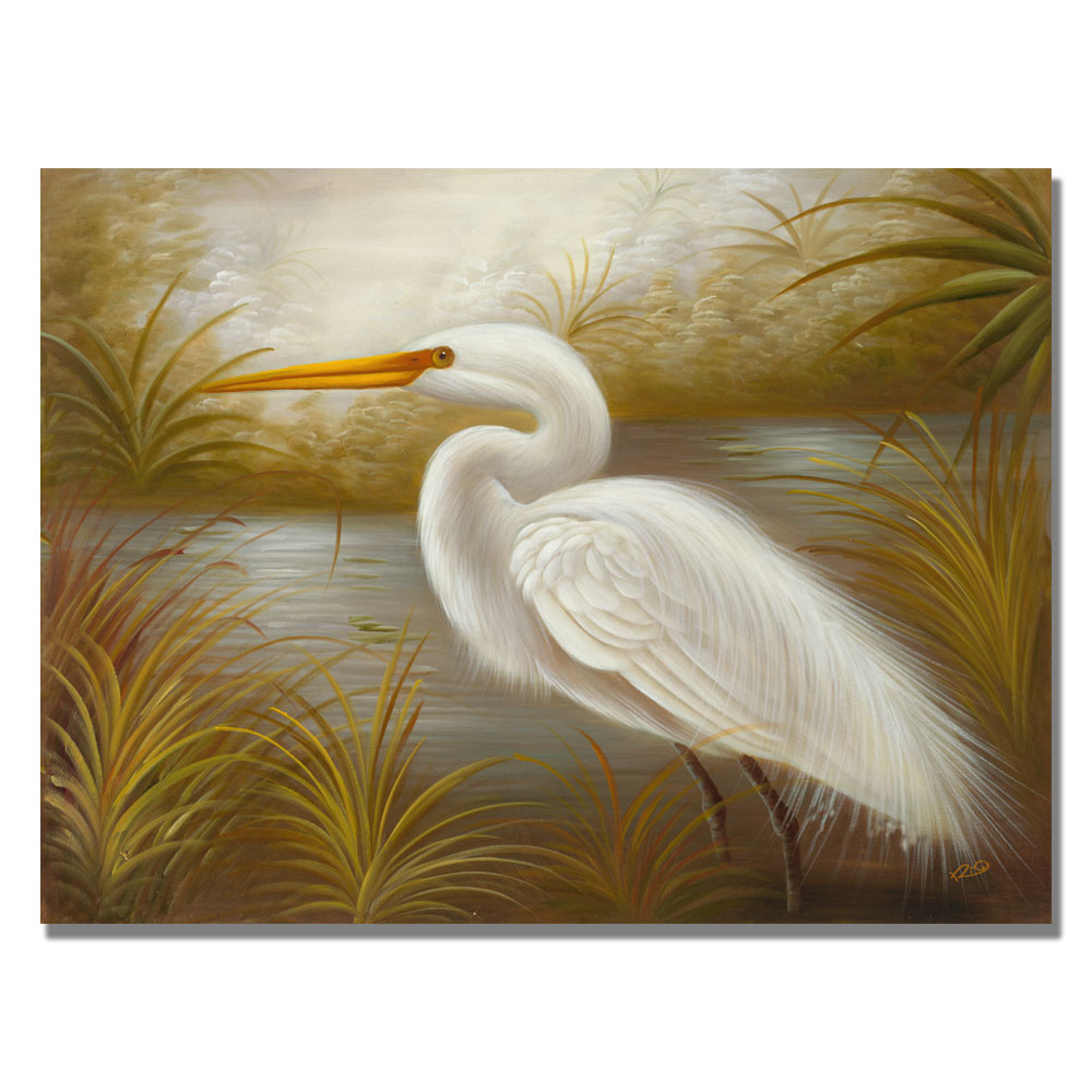 Rio 'White Heron' Canvas Wall Art 35 X 47