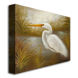 Rio 'White Heron' Canvas Wall Art 35 X 47