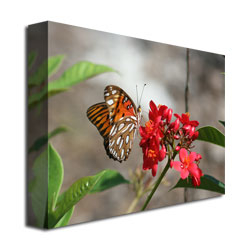 Patty Tuggle 'Butterfly On Red Flowers' Canvas Wall Art 35 X 47