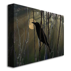 Patty Tuggle 'Nevermore Night And Day' Canvas Wall Art 35 X 47
