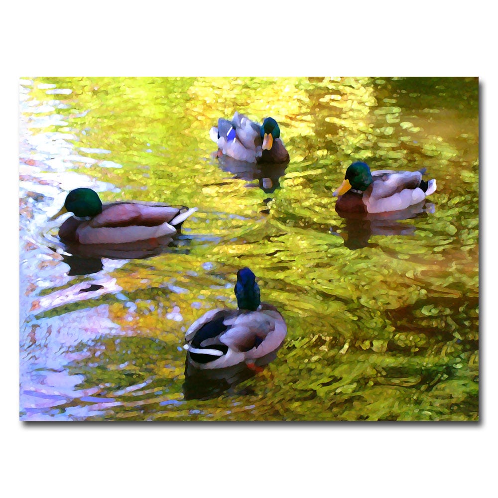 Amy Vangsgard 'Four Ducks On Pond' Canvas Wall Art 35 X 47